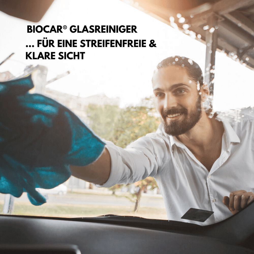 Innenreinigungs-Set Stoff