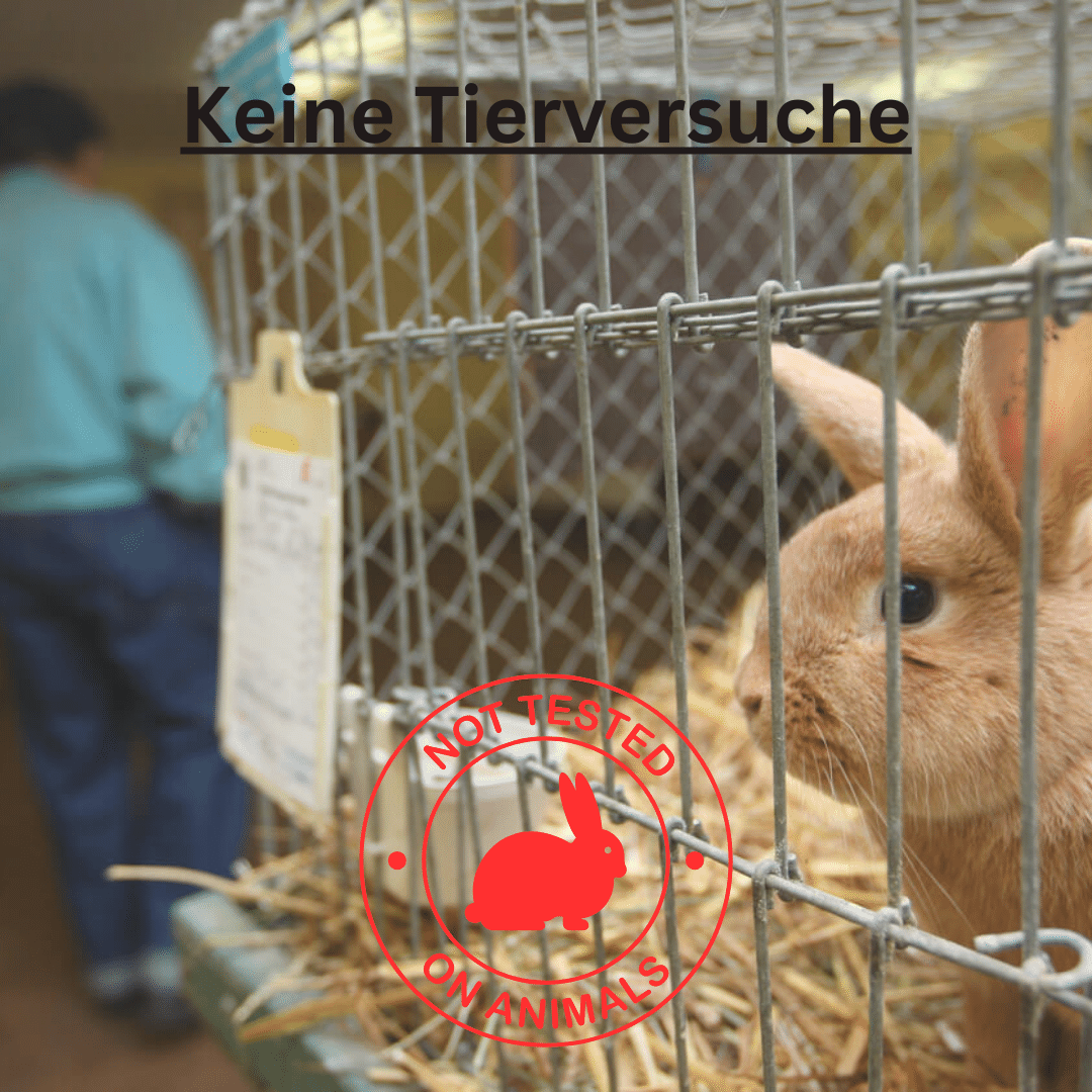 Vorreiniger - 500 ml