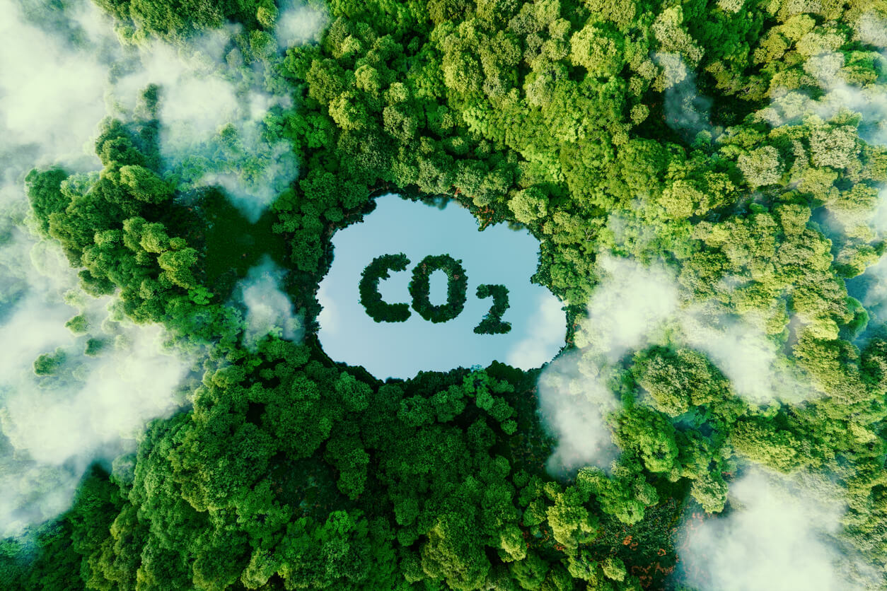 CO2-neutraler Versand
